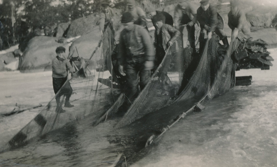 Svartvitt fotografi föreställande en grupp män som drar ett stort nät på isen. 